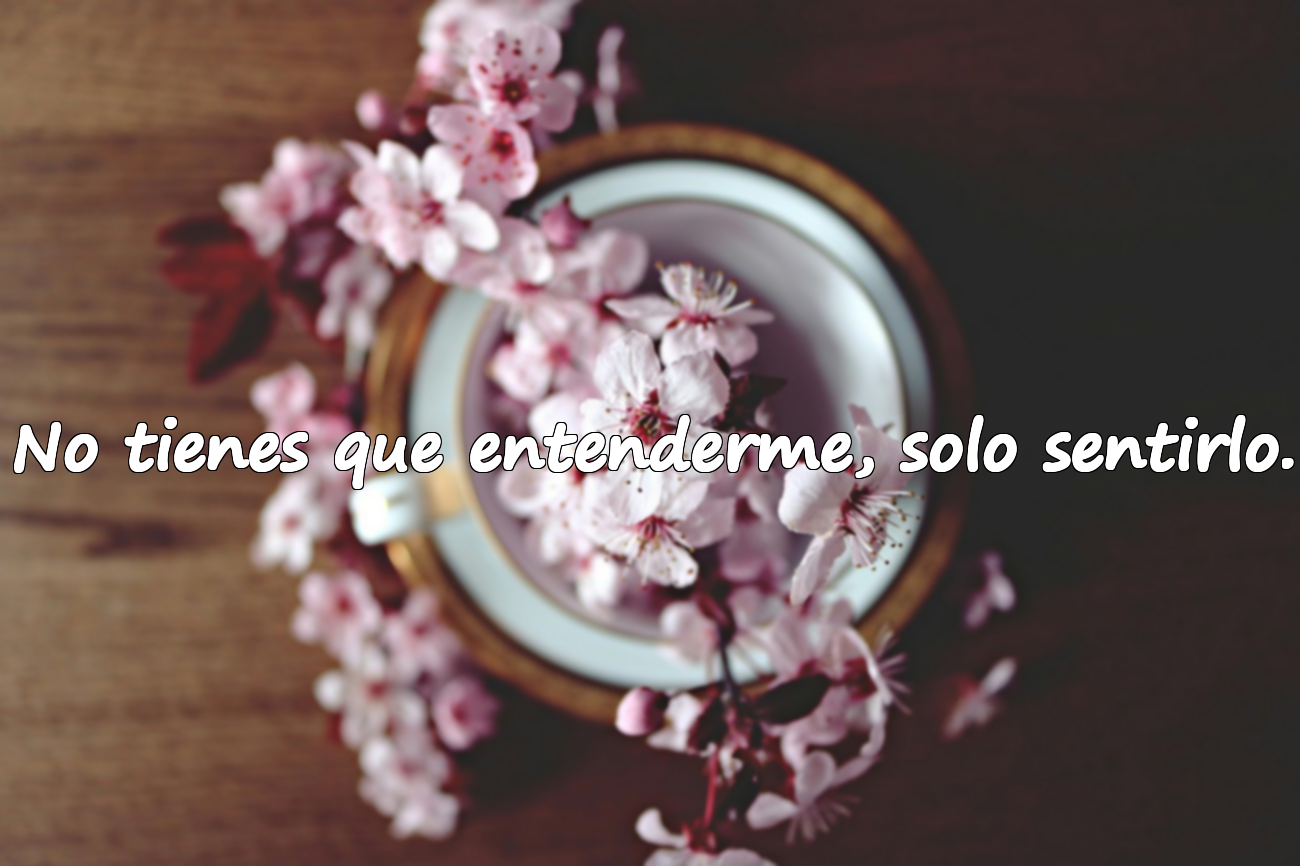 No tienes que entenderme, solo sentirlo.
