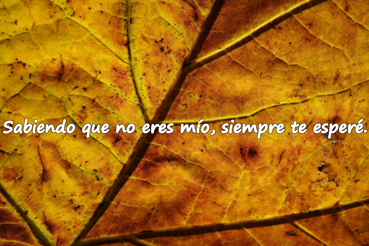 Sabiendo que no eres mío, siempre te esperé.