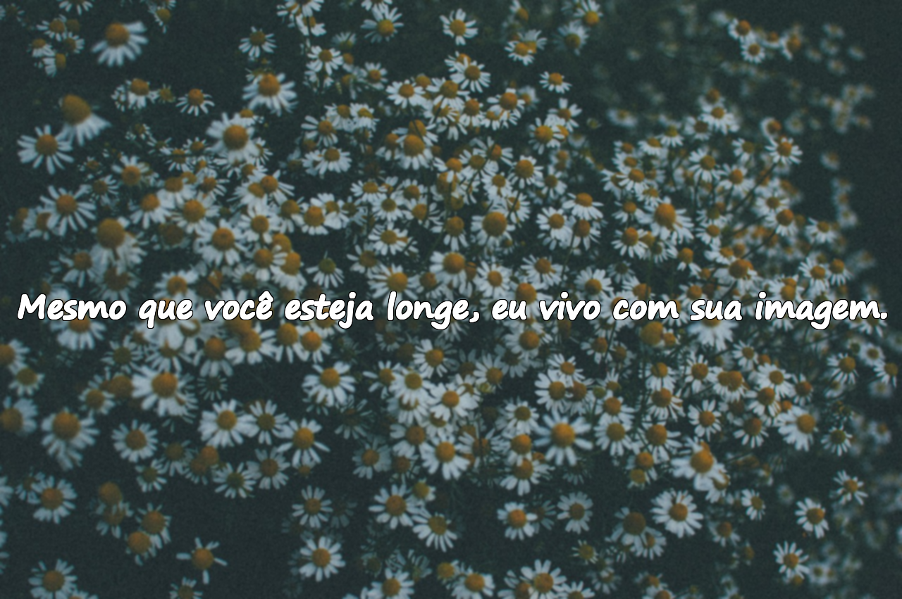 Frases de amor impossível