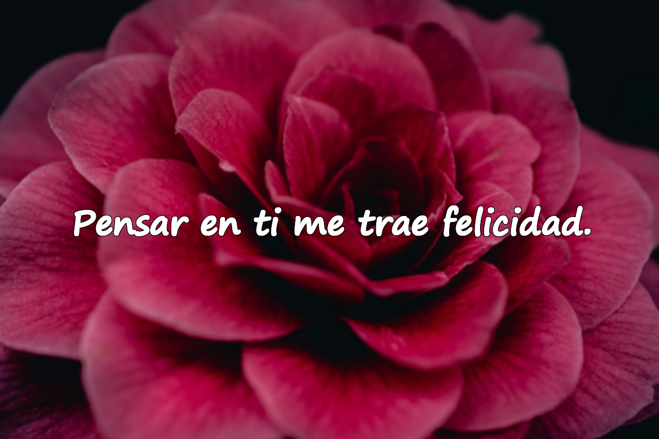 Frases de amor platónico