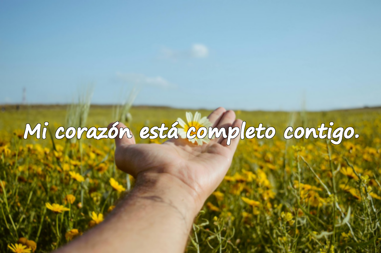 Frases de amor y San Valentín