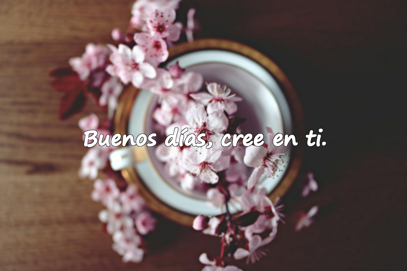 Frases de buenos días
