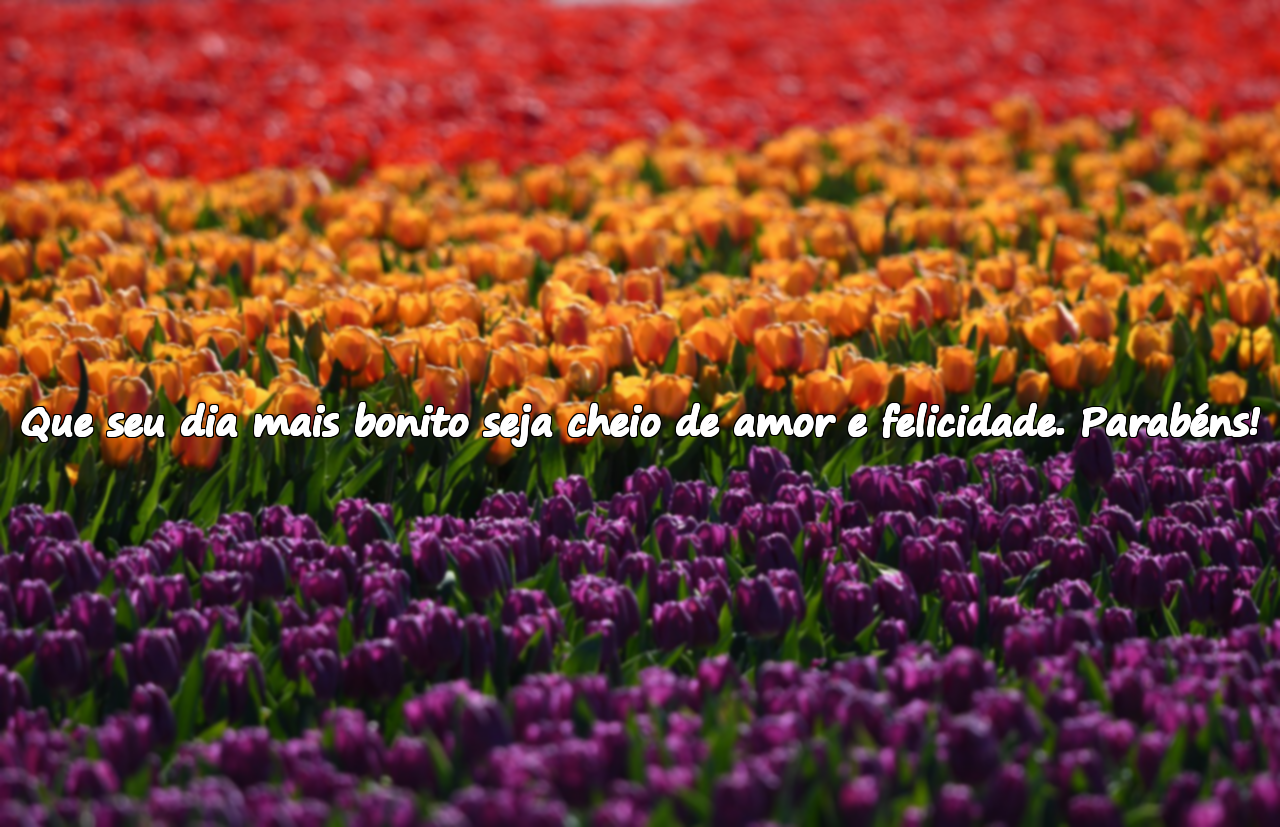 Frases de congratulação de casamento