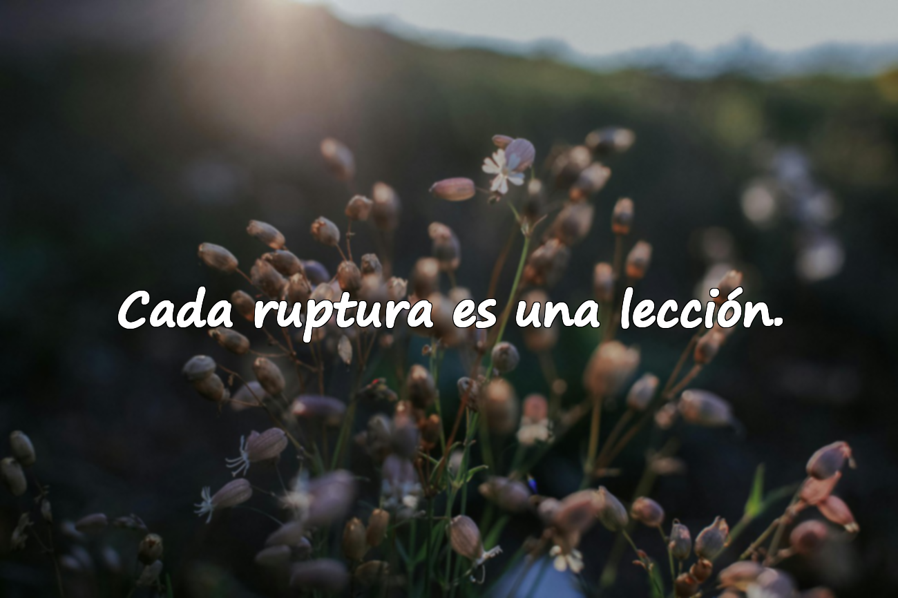 Frases de ruptura