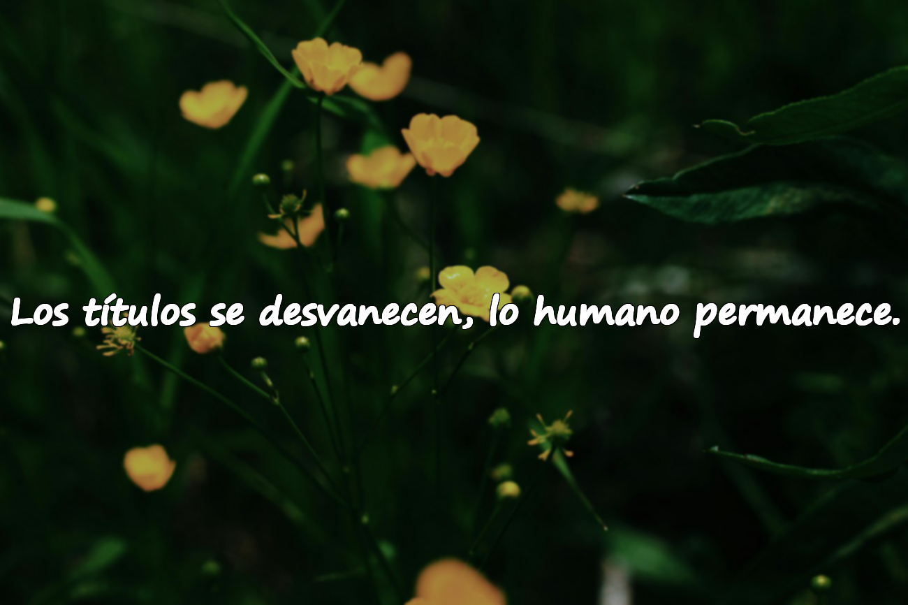 Frases indirectas sobre el mundo pasajero