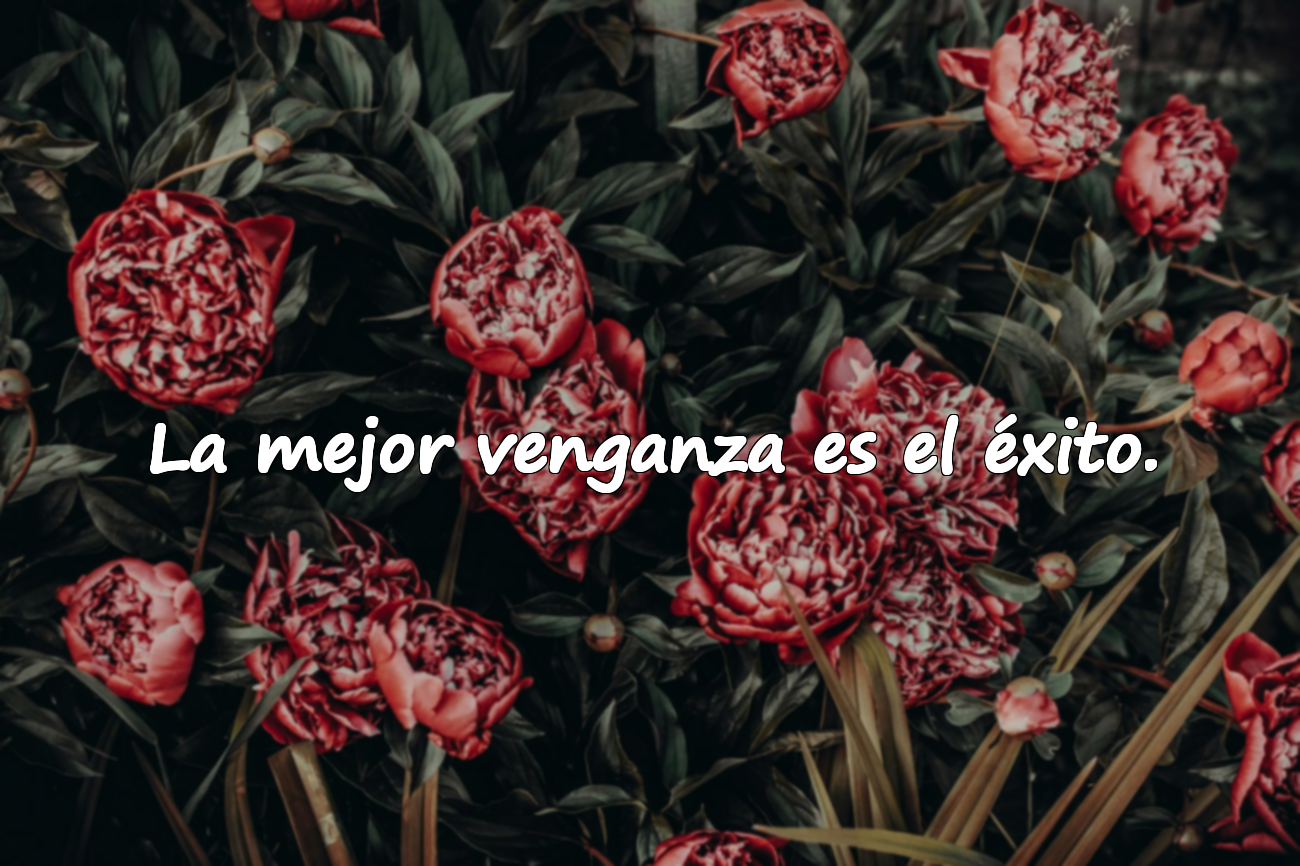 La mejor venganza es el éxito.