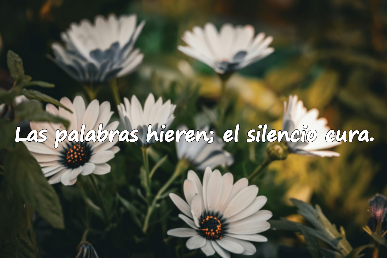 Las palabras hieren; el silencio cura.