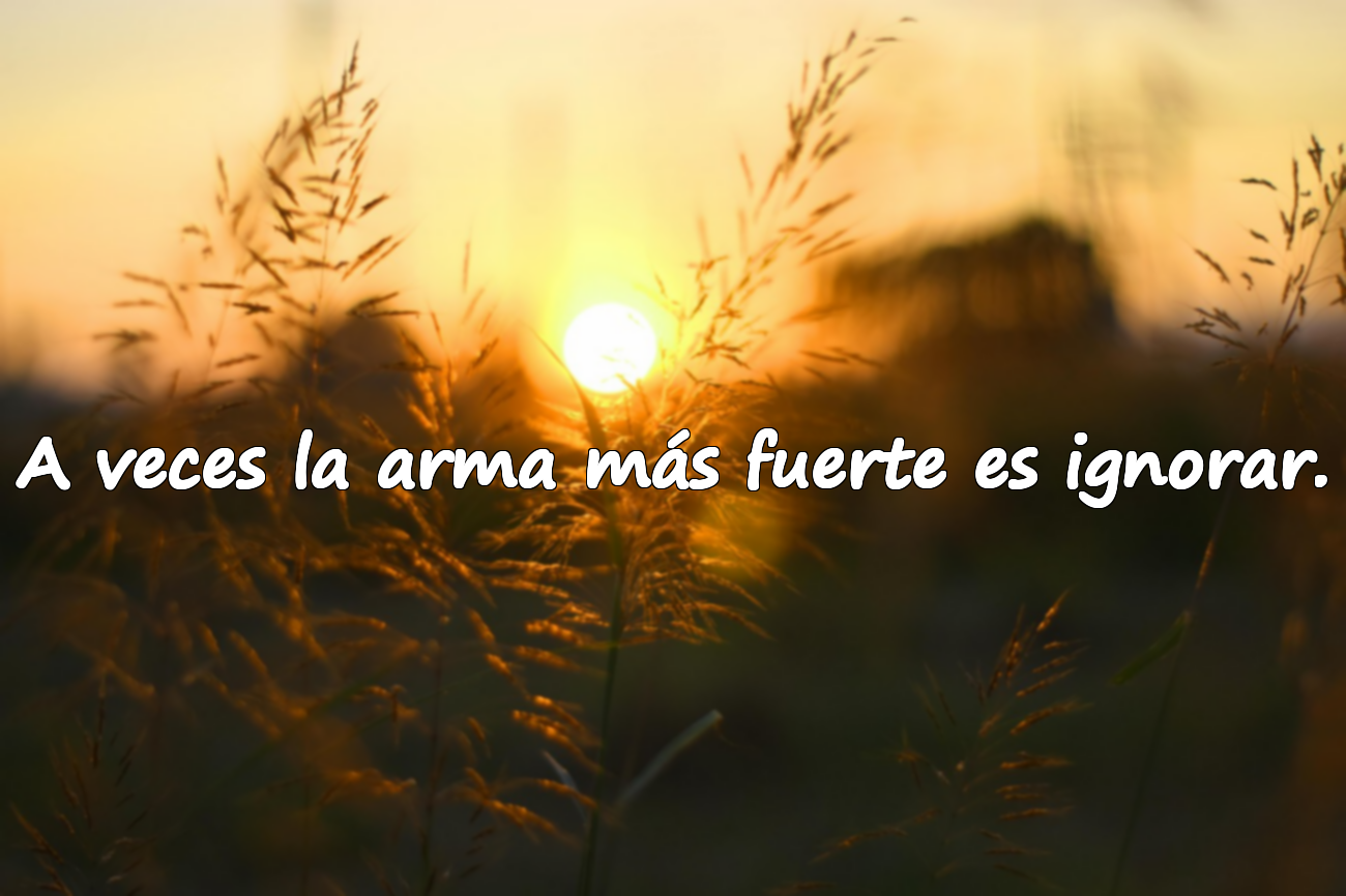 A veces la arma más fuerte es ignorar.