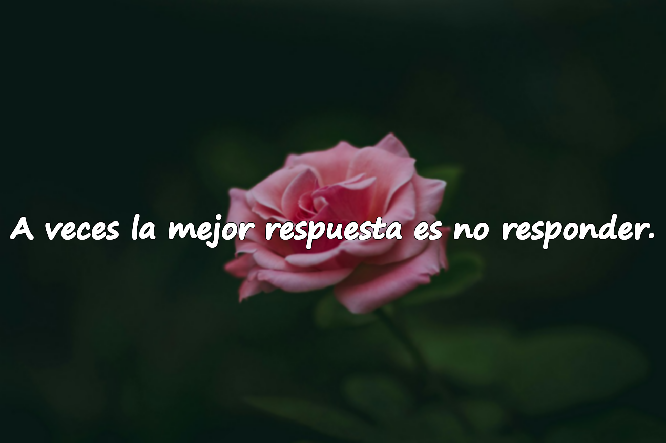 A veces la mejor respuesta es no responder.