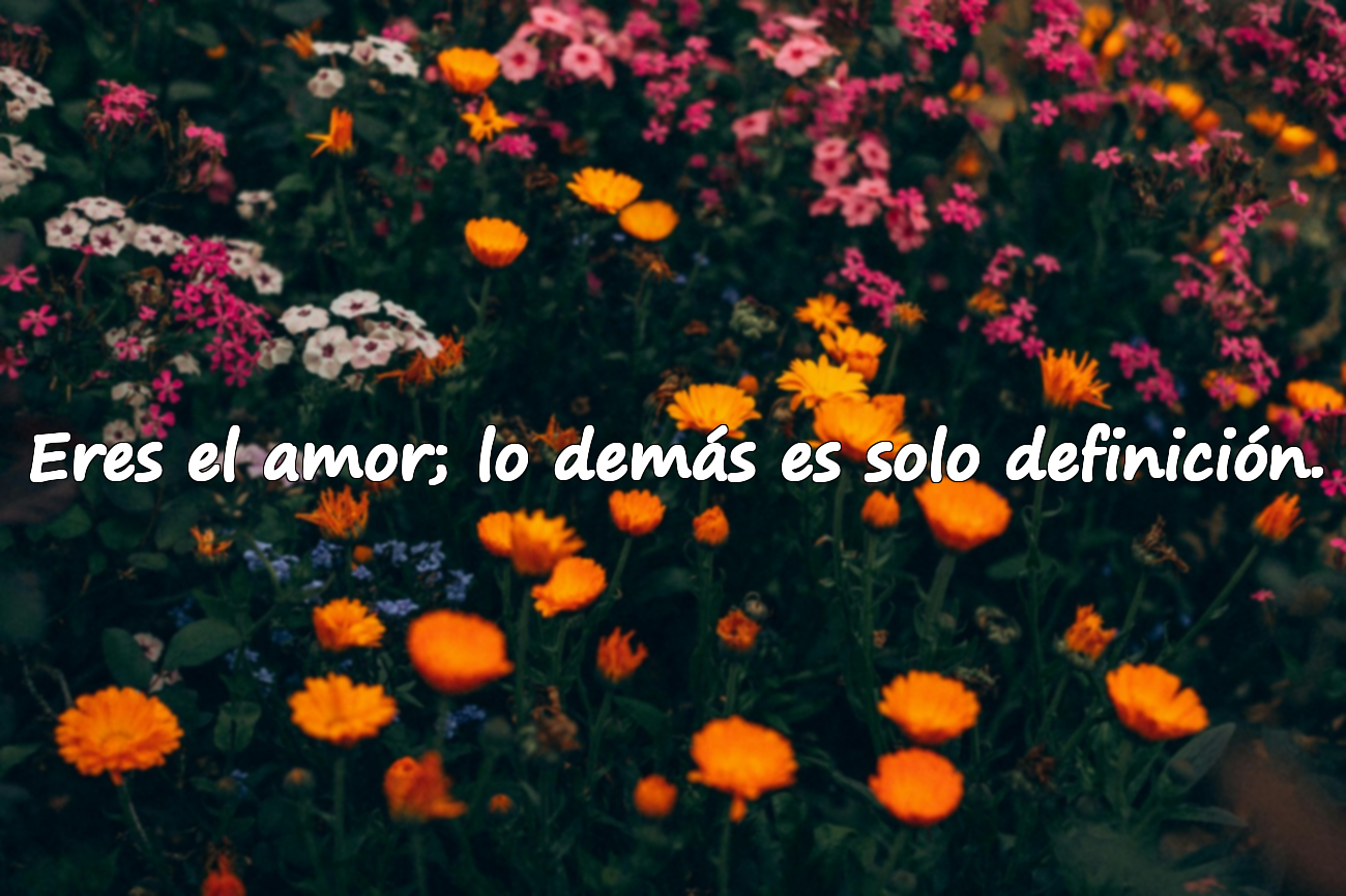 Frases para el Día de San Valentín