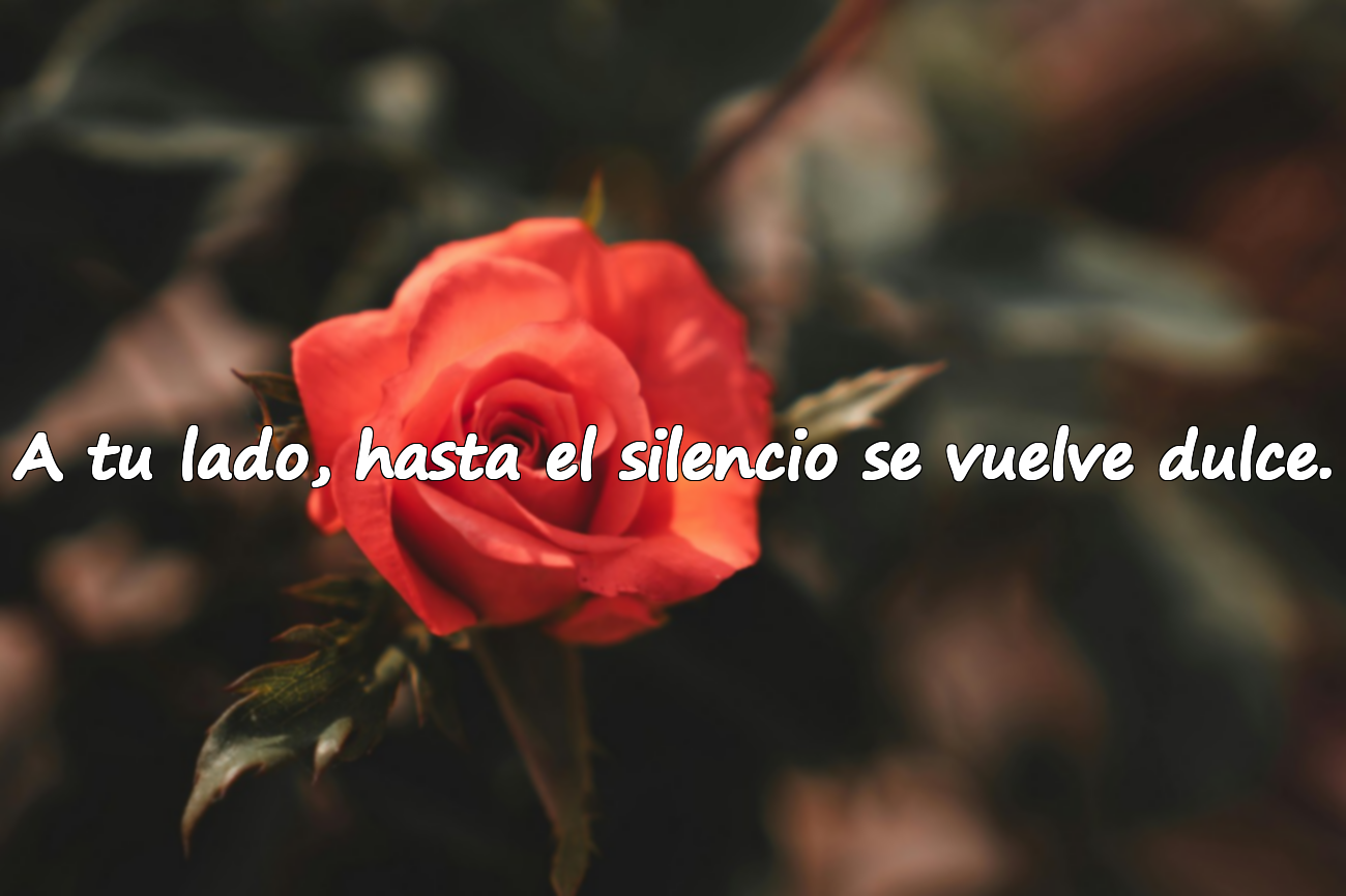 Frases para el Día de San Valentín