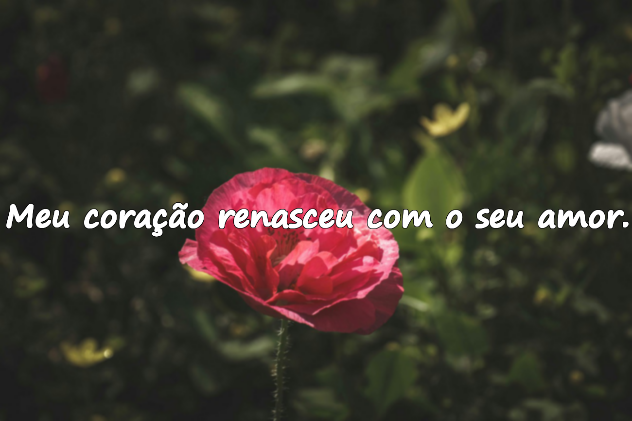 Frases para o Dia dos Namorados