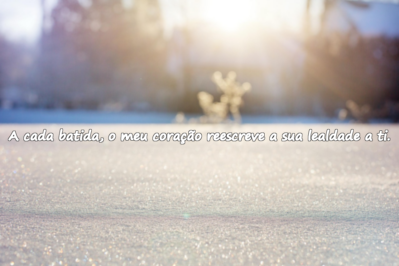 Frases para o amado
