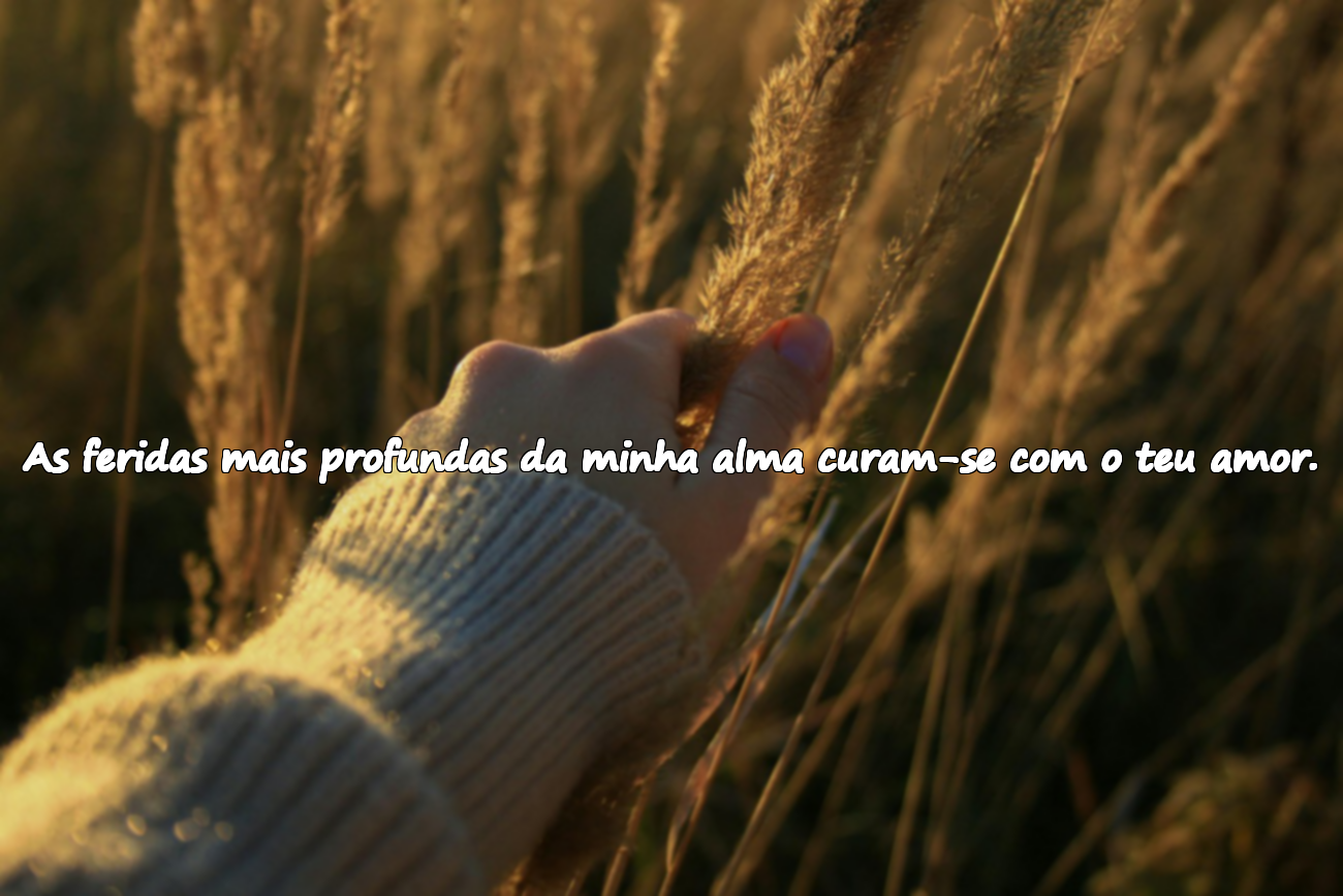 Frases para o amado