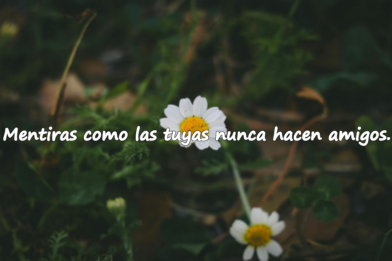 Mentiras como las tuyas nunca hacen amigos.