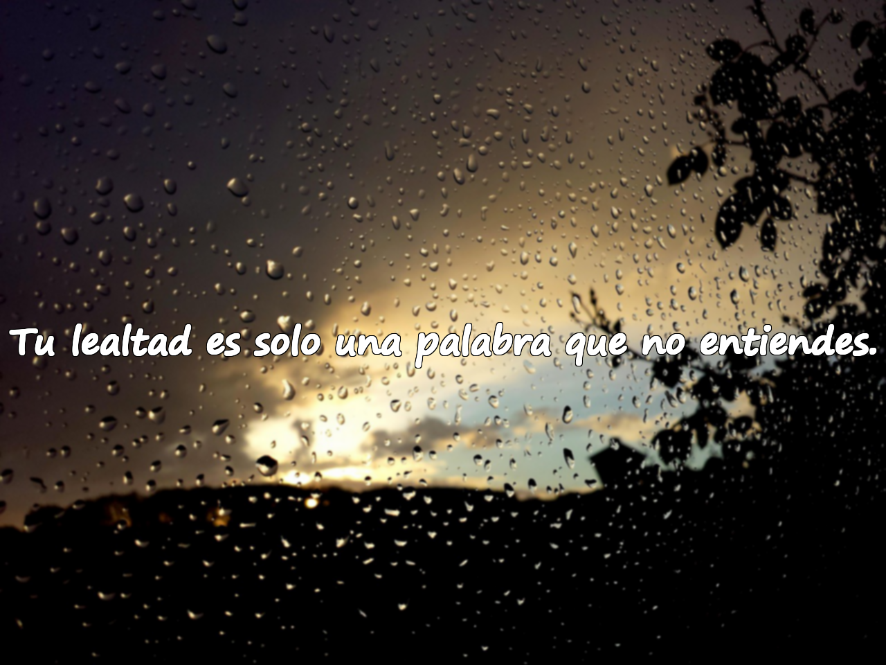Tu lealtad es solo una palabra que no entiendes.
