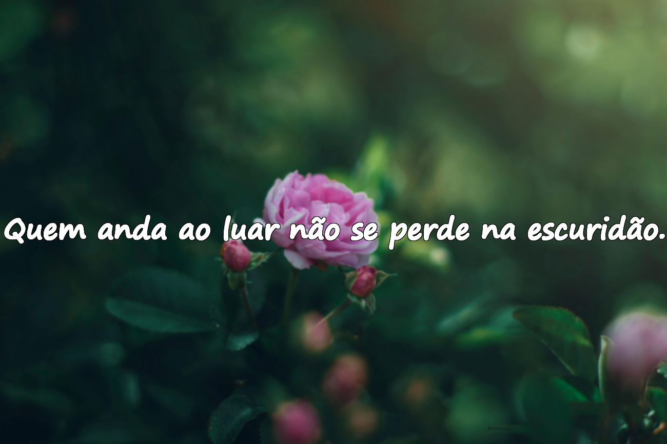 Frases significativas sobre a noite