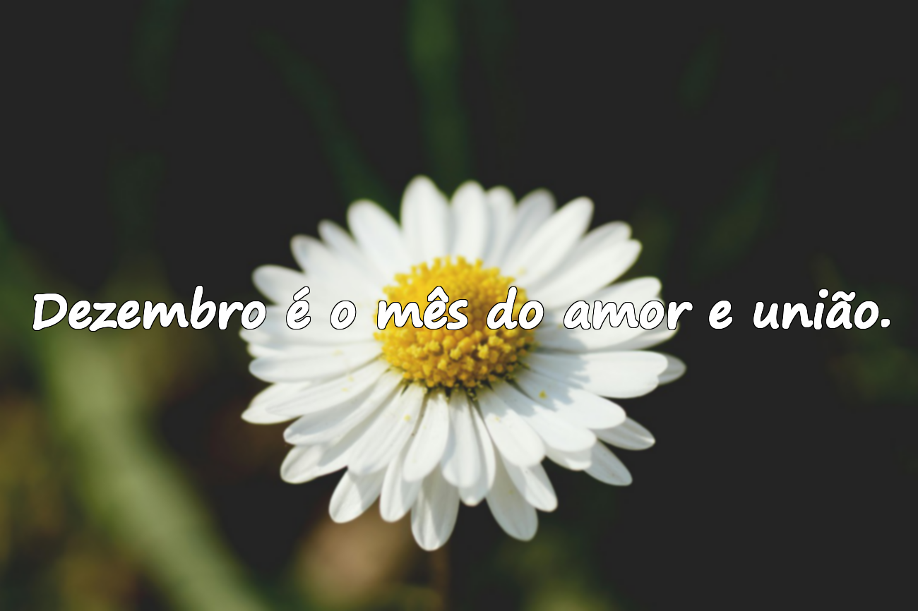 Frases significativas sobre dezembro