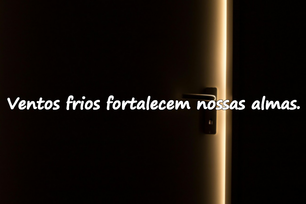Frases significativas sobre dezembro