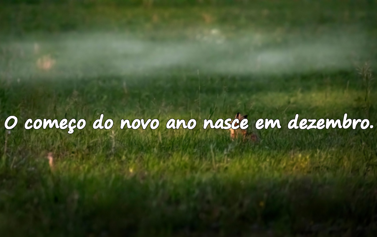 Frases significativas sobre dezembro