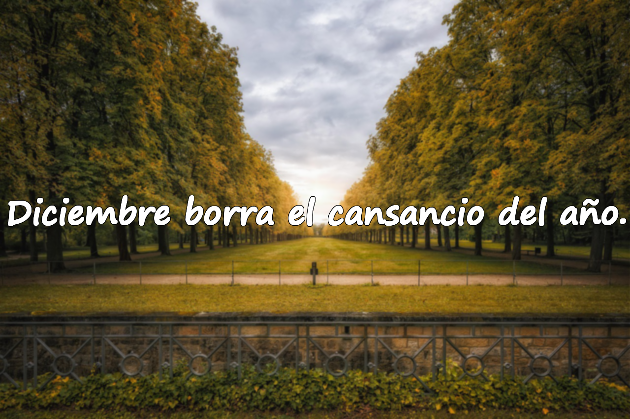 Diciembre borra el cansancio del año.