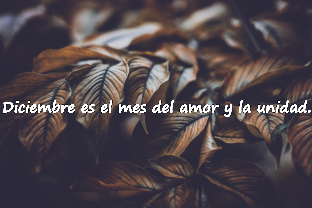 Diciembre es el mes del amor y la unidad.