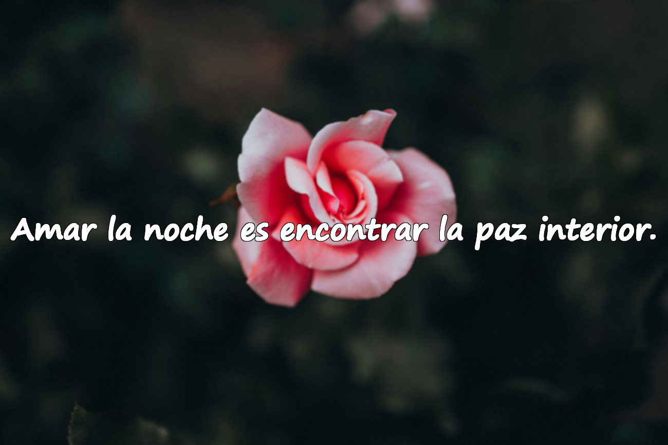 Amar la noche es encontrar la paz interior.