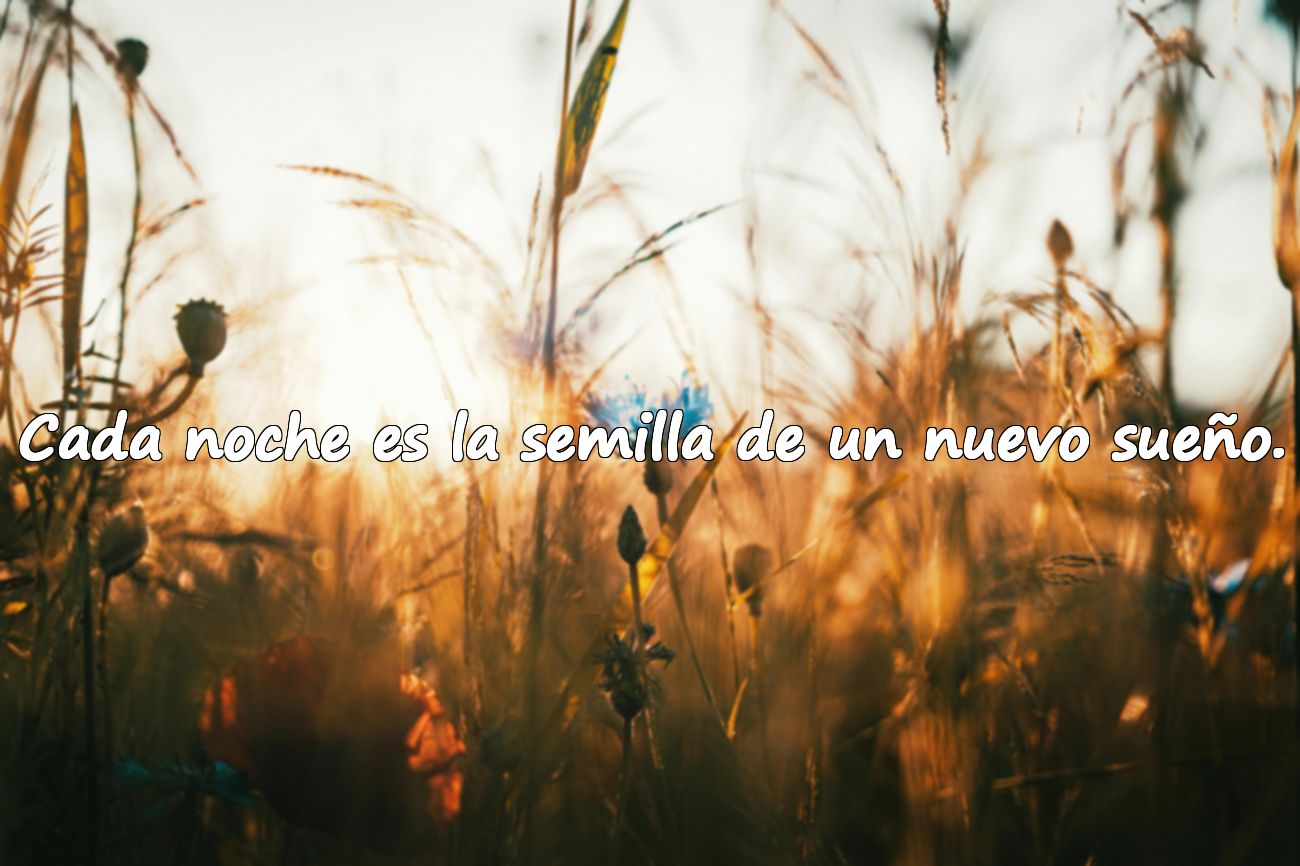 Cada noche es la semilla de un nuevo sueño.
