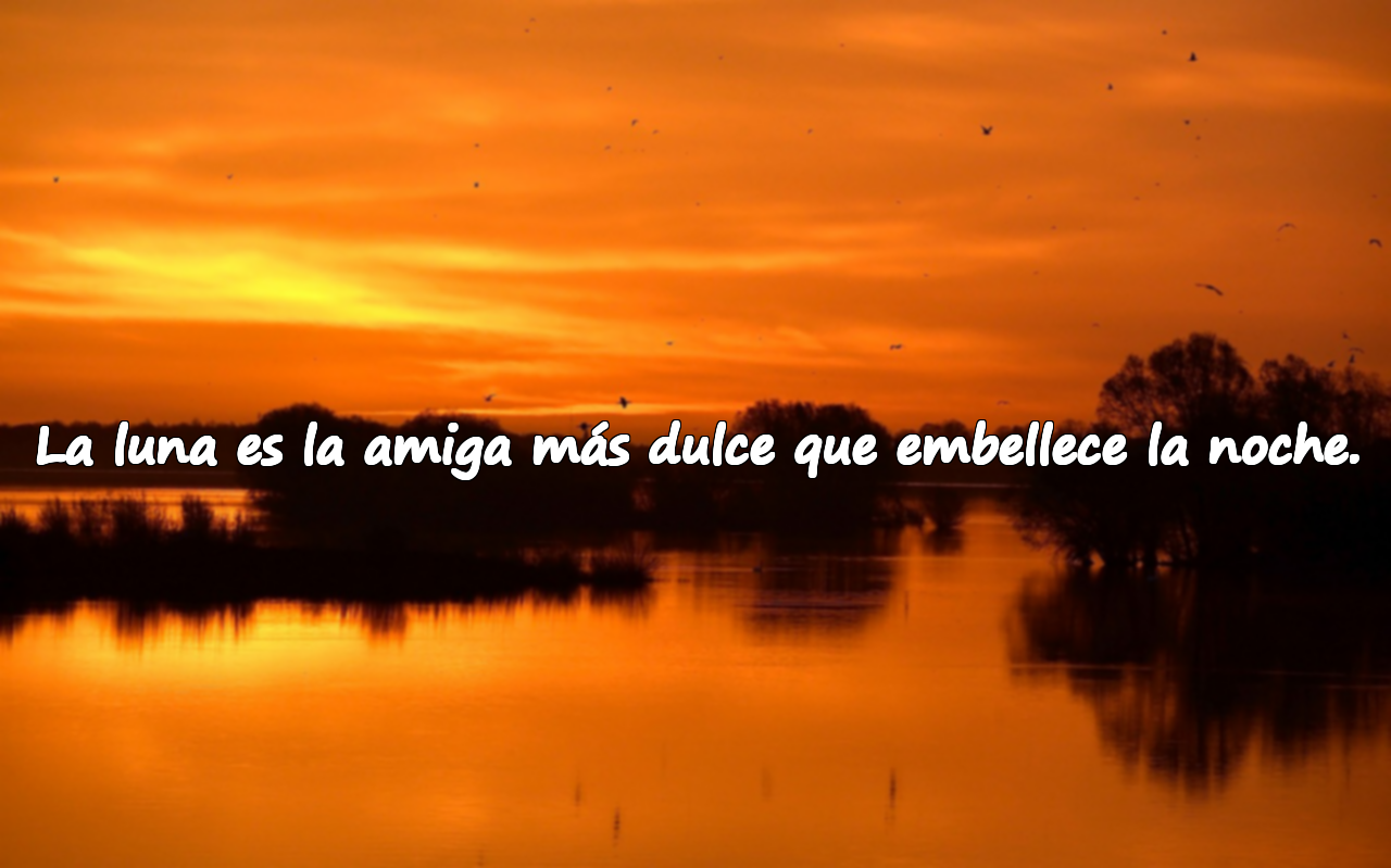 La luna es la amiga más dulce que embellece la noche.