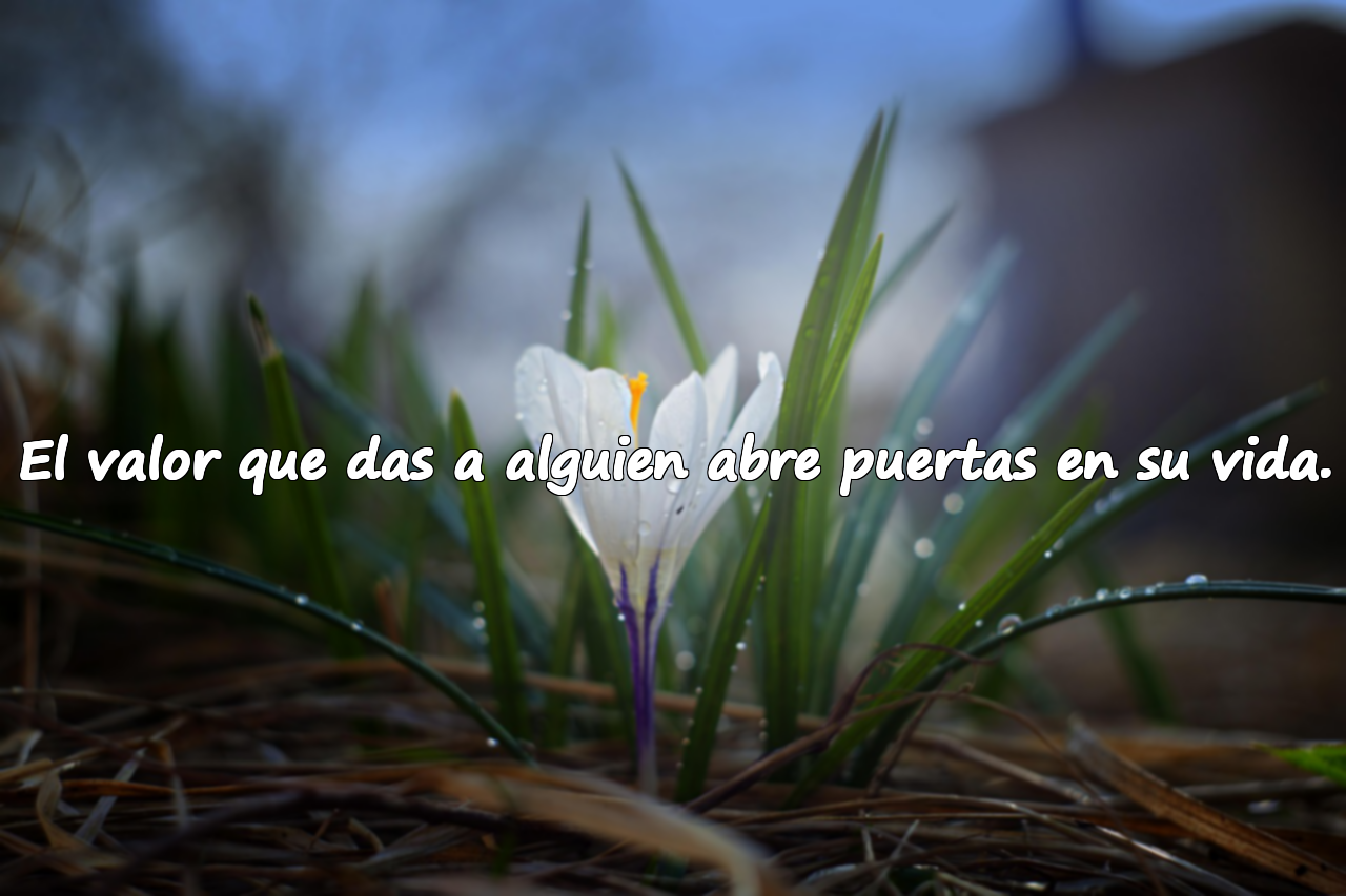 El valor que das a alguien abre puertas en su vida.