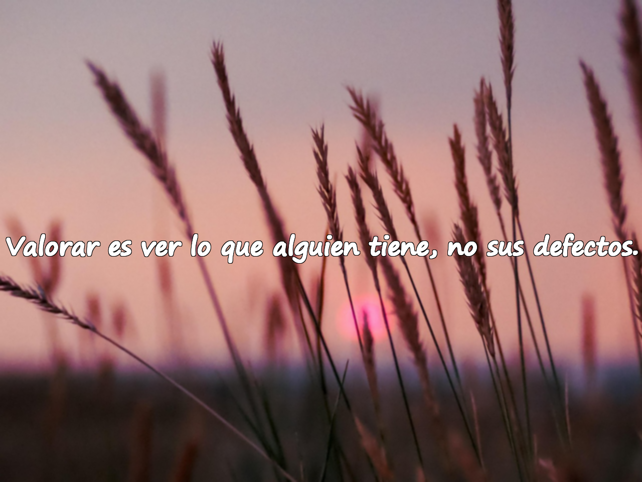 Valorar es ver lo que alguien tiene, no sus defectos.