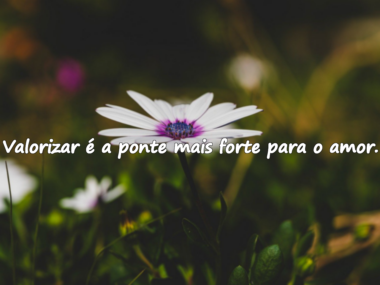 Valorizar é a ponte mais forte para o amor.