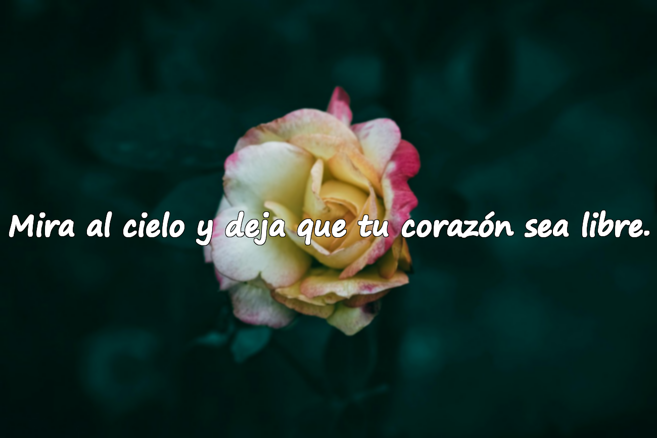 Mira al cielo y deja que tu corazón sea libre.