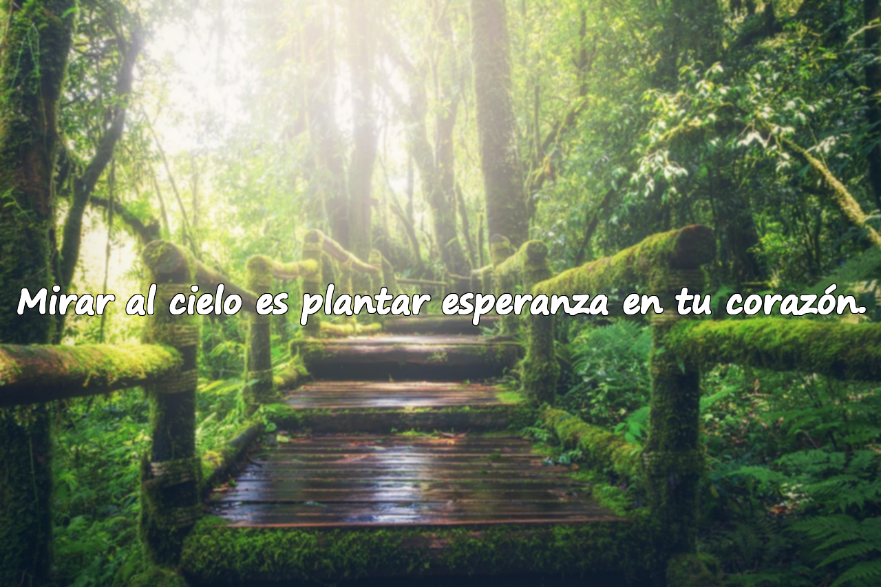 Mirar al cielo es plantar esperanza en tu corazón.