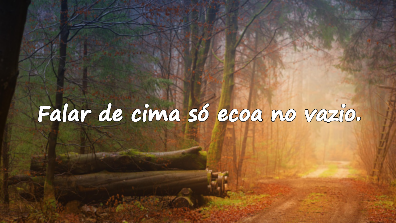 Frases sobre Arrogância