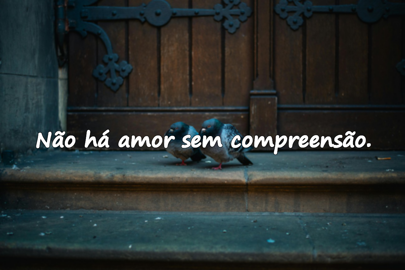 Frases sobre Compreensão
