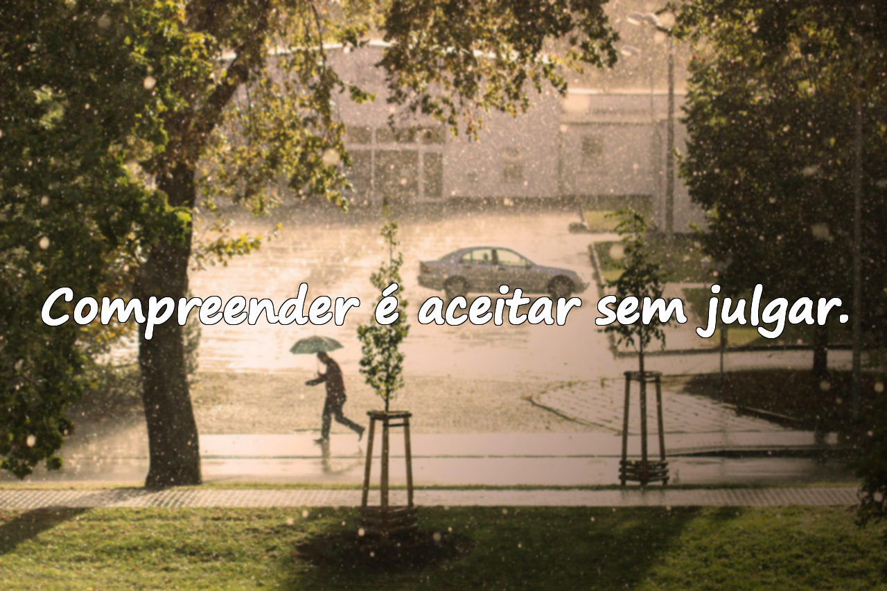 Frases sobre Compreensão
