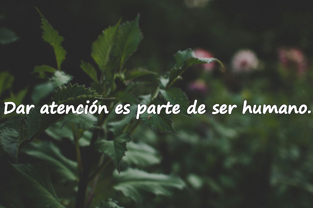 Dar atención es parte de ser humano.