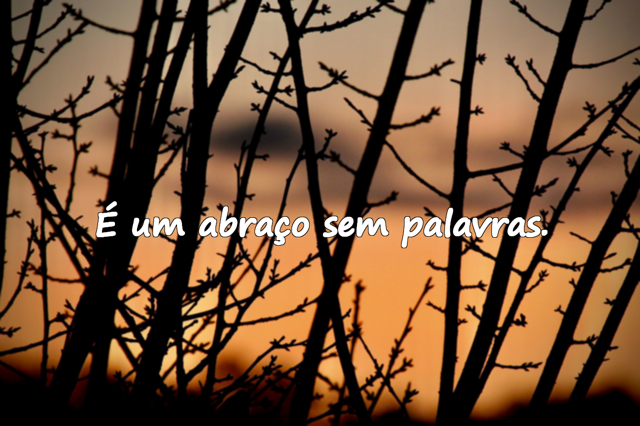 Frases sobre Empatia