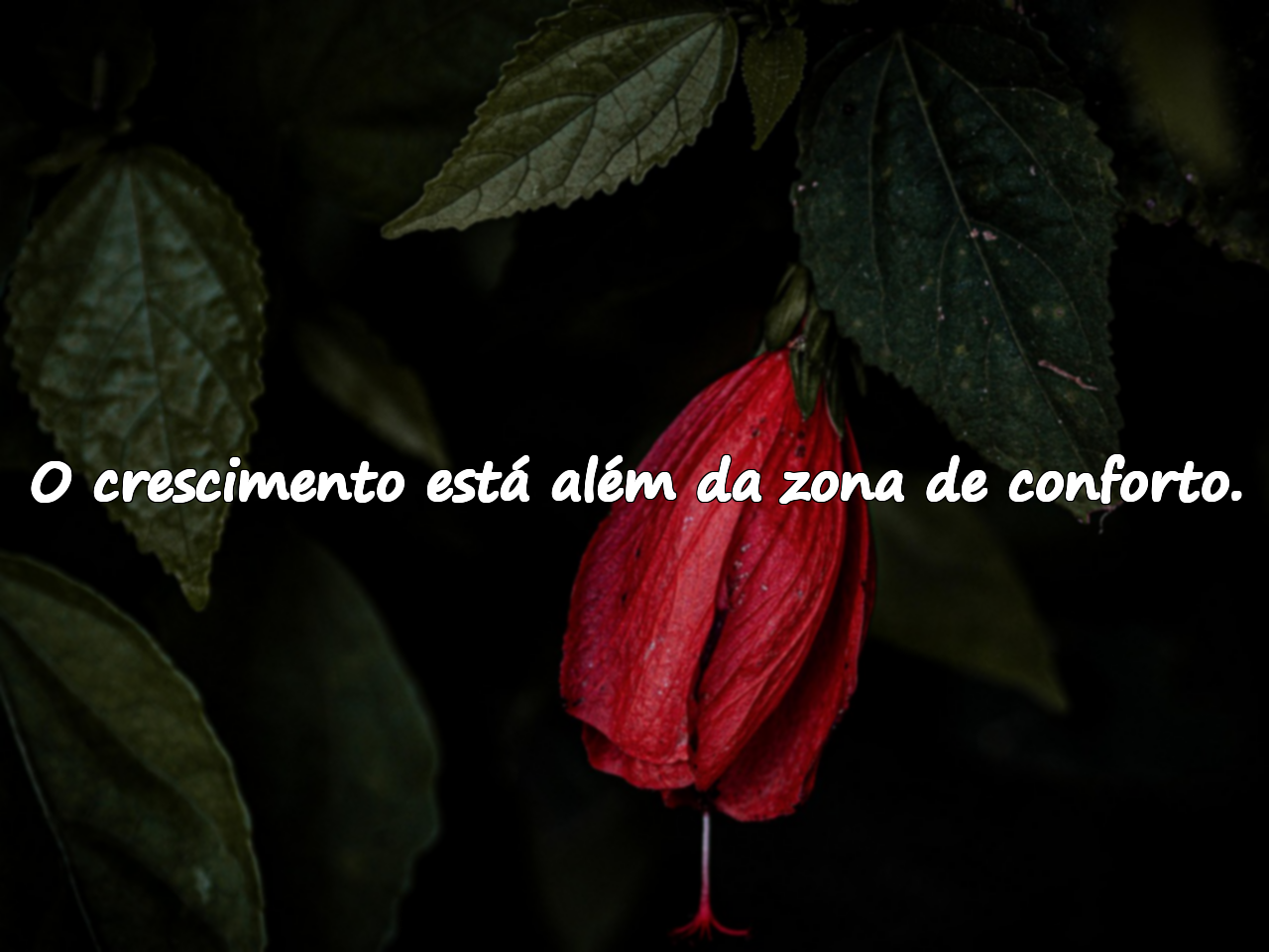 Frases sobre Empreendedorismo
