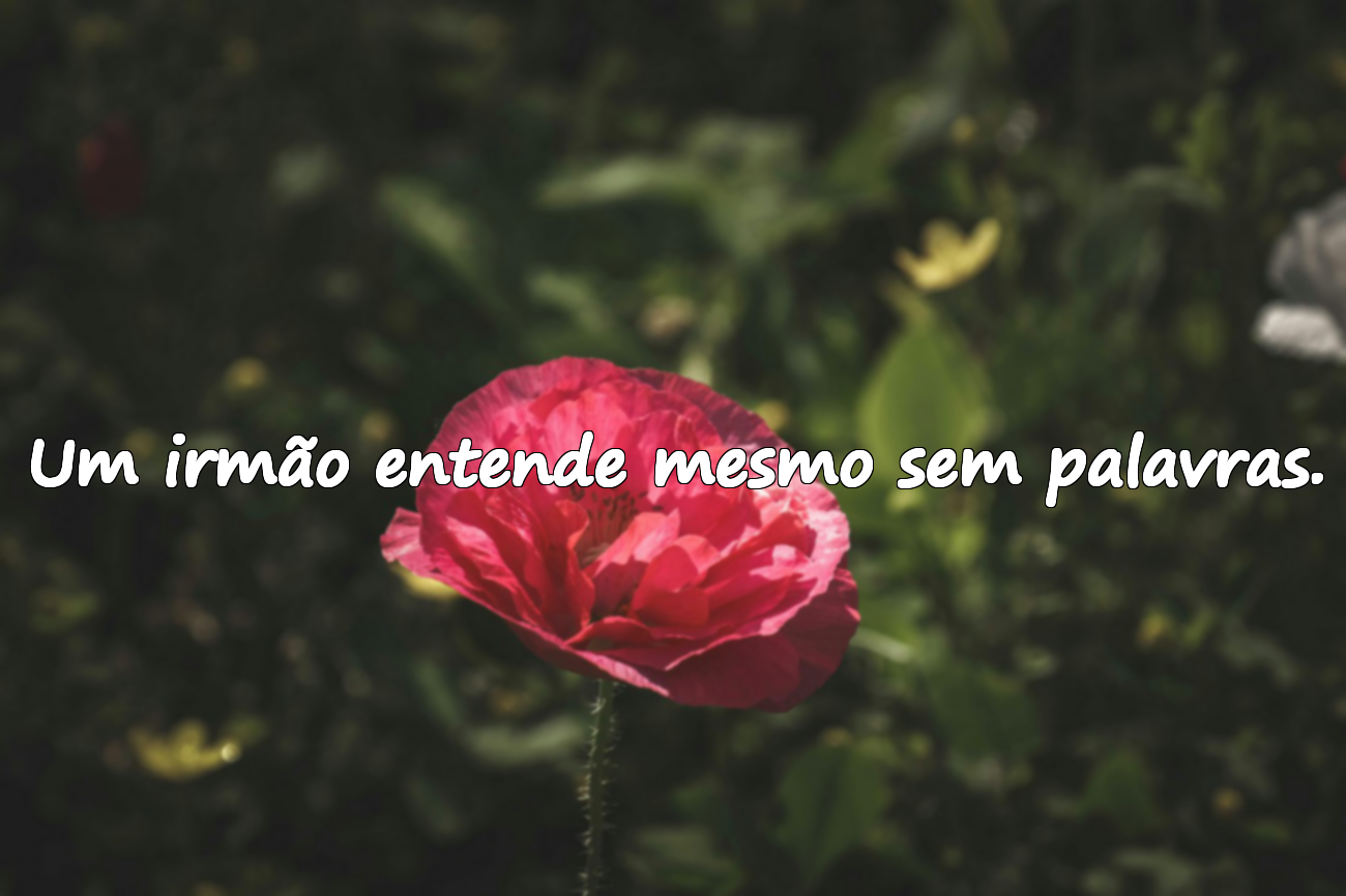 Um irmão entende mesmo sem palavras.