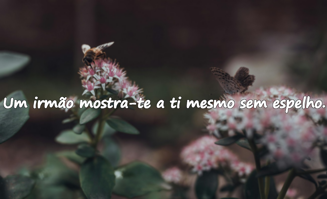 Um irmão mostra-te a ti mesmo sem espelho.