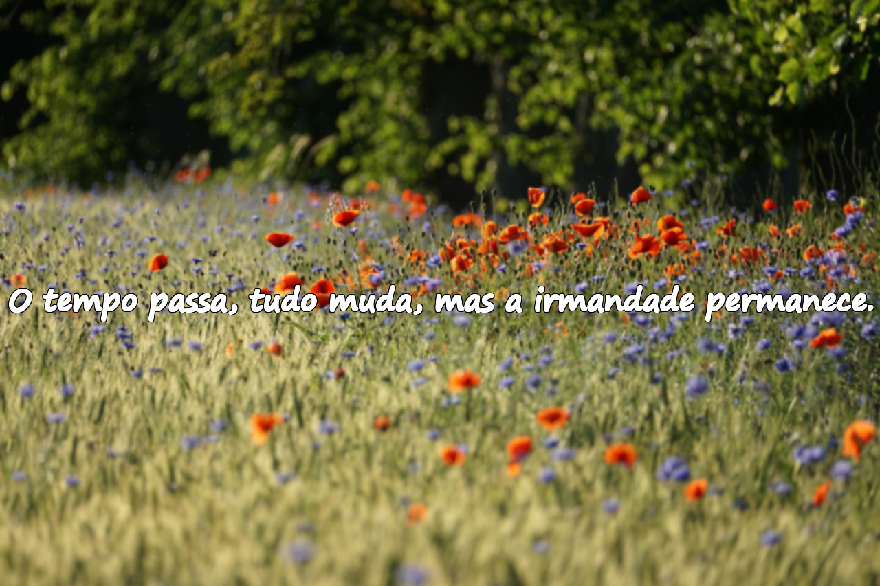 O tempo passa, tudo muda, mas a irmandade permanece.