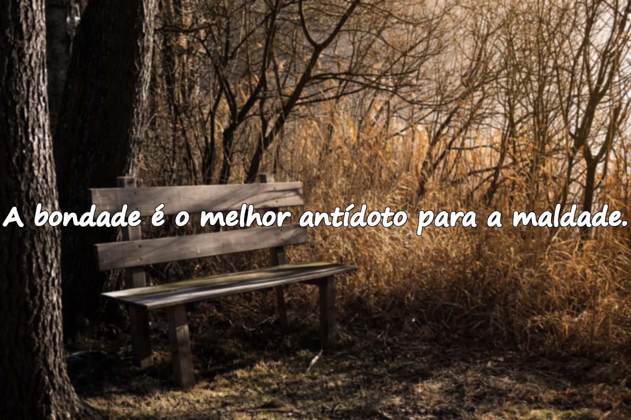 Frases sobre Maldade