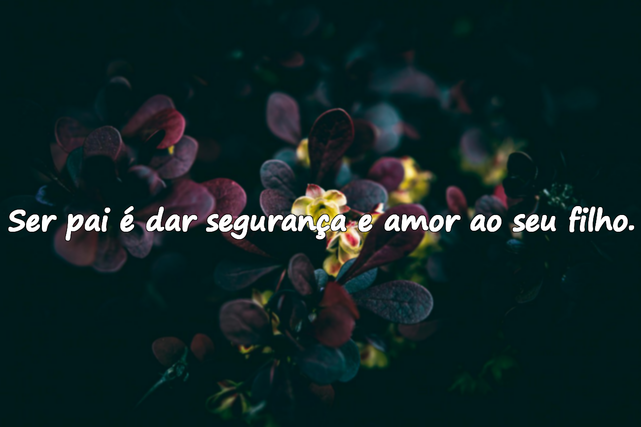 Frases sobre Pais