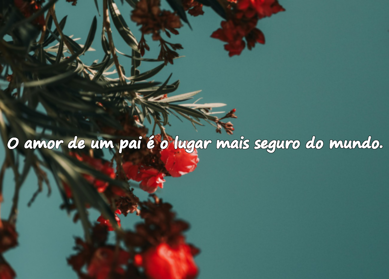 Frases sobre Pais