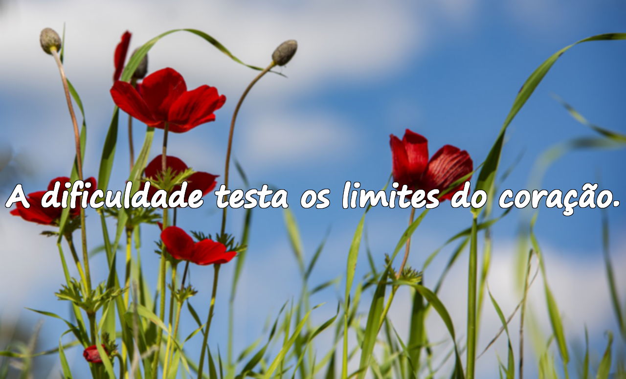 Frases sobre a Dificuldade