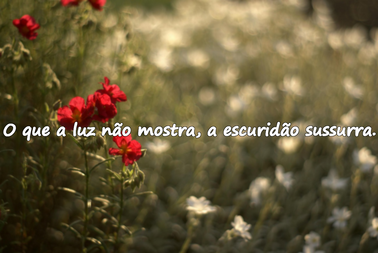 Frases sobre a Escuridão