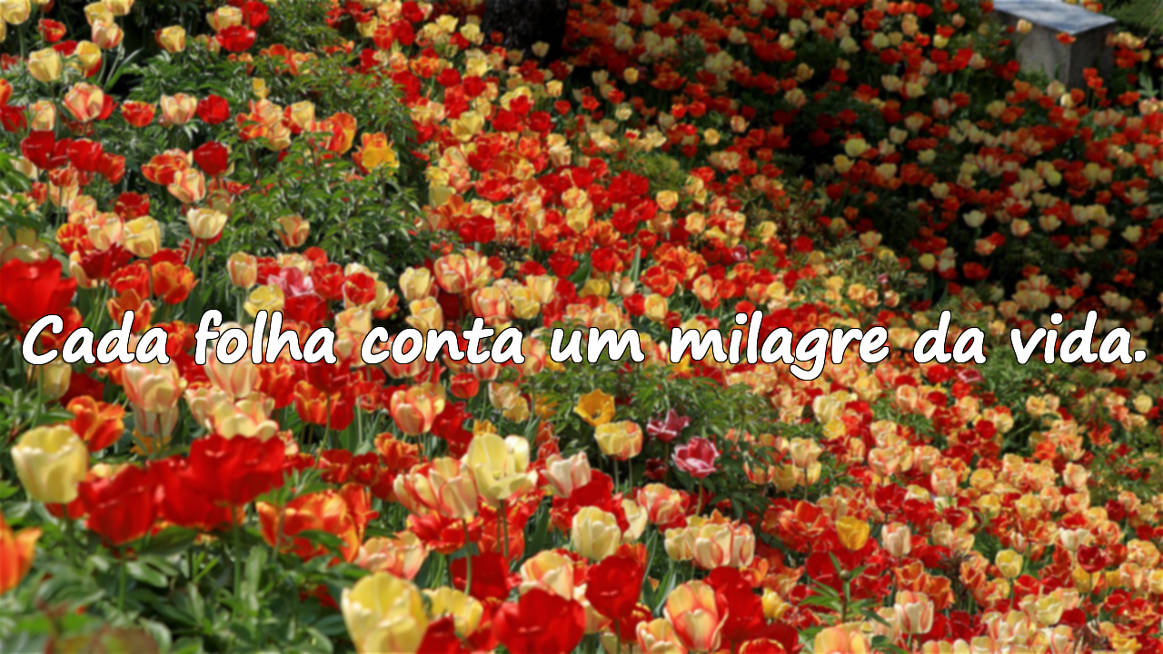 Frases sobre a Natureza e o Verde
