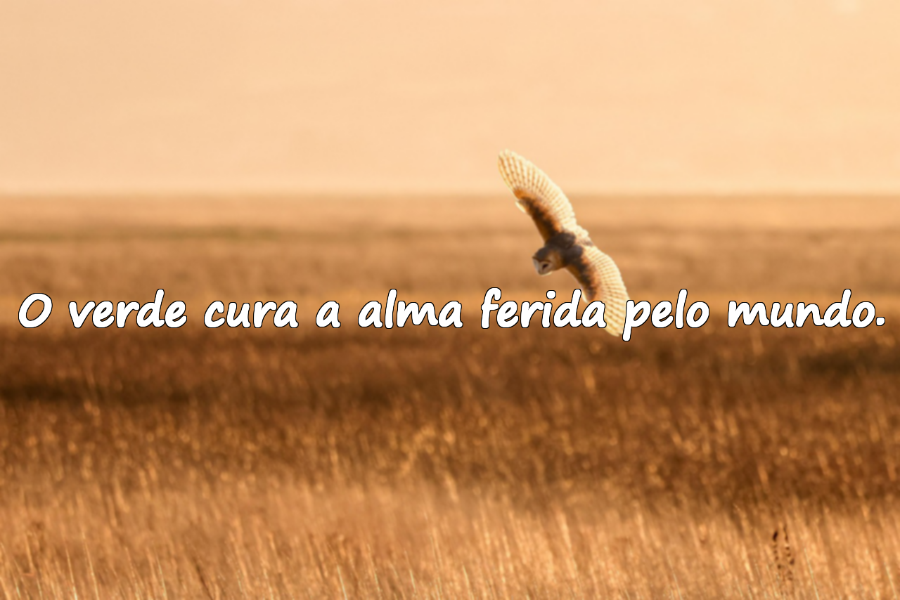 Frases sobre a Natureza e o Verde